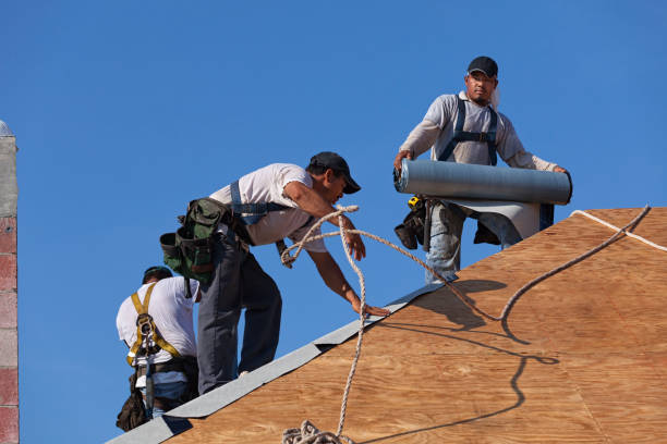Best Metal Roofing Contractor  in Orchard Grass Hills, KY
